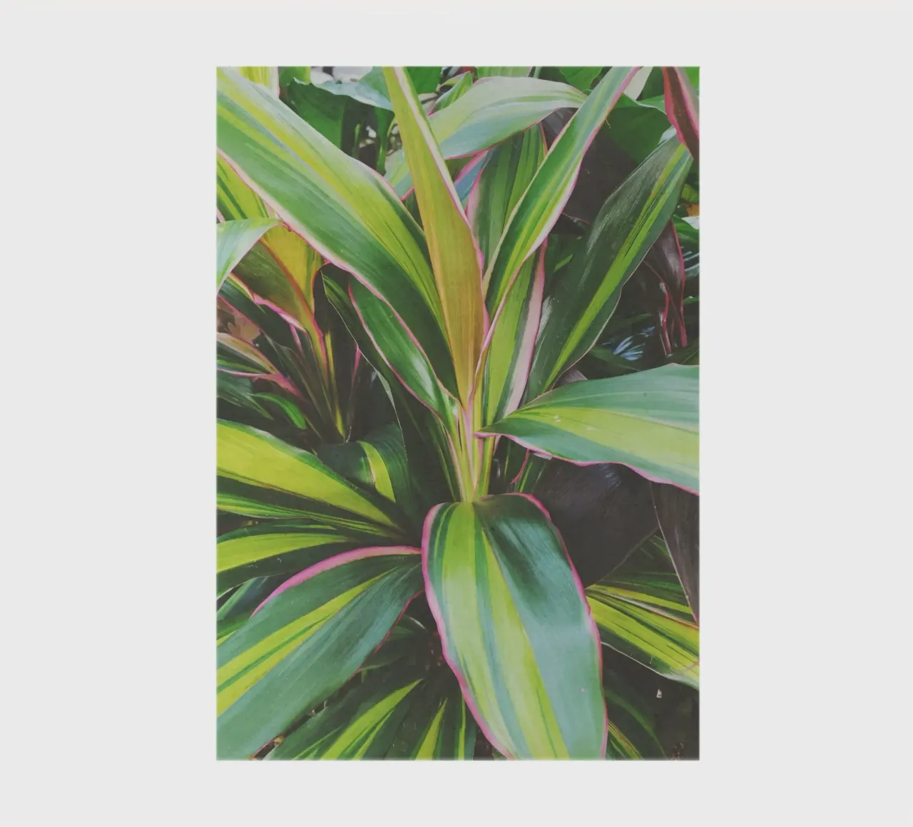 Foliage II notebook by Cassia Beck Photography