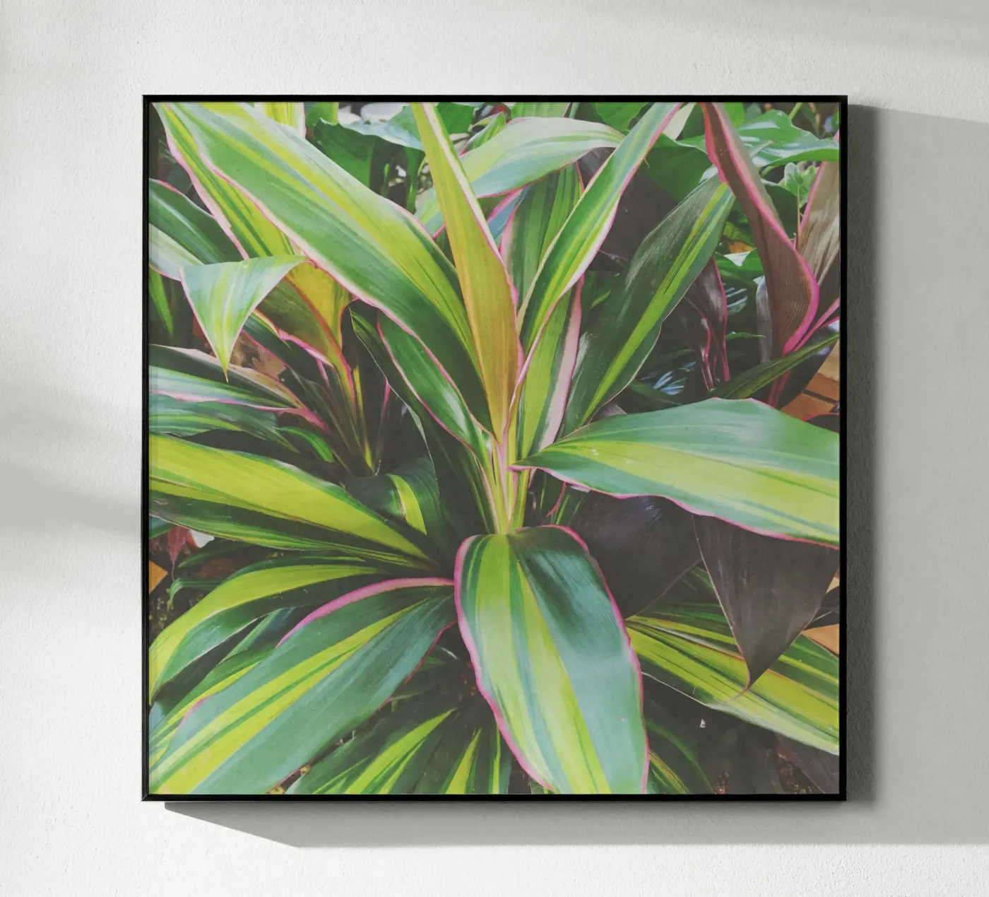 Foliage II plexiglass da Cassia Beck Photography