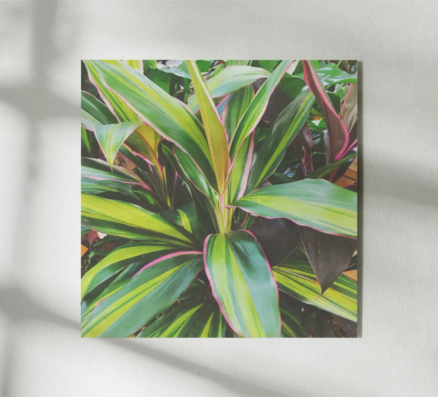 Foliage II plexiglass da Cassia Beck Photography