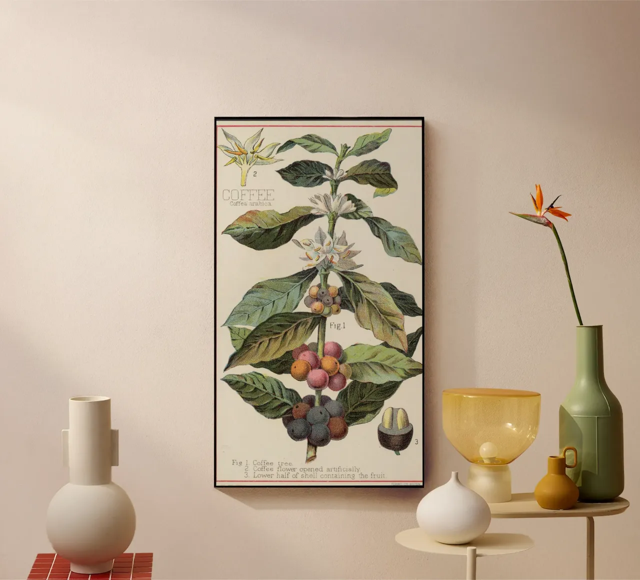 coffee illustration plexiglass da vintageshop