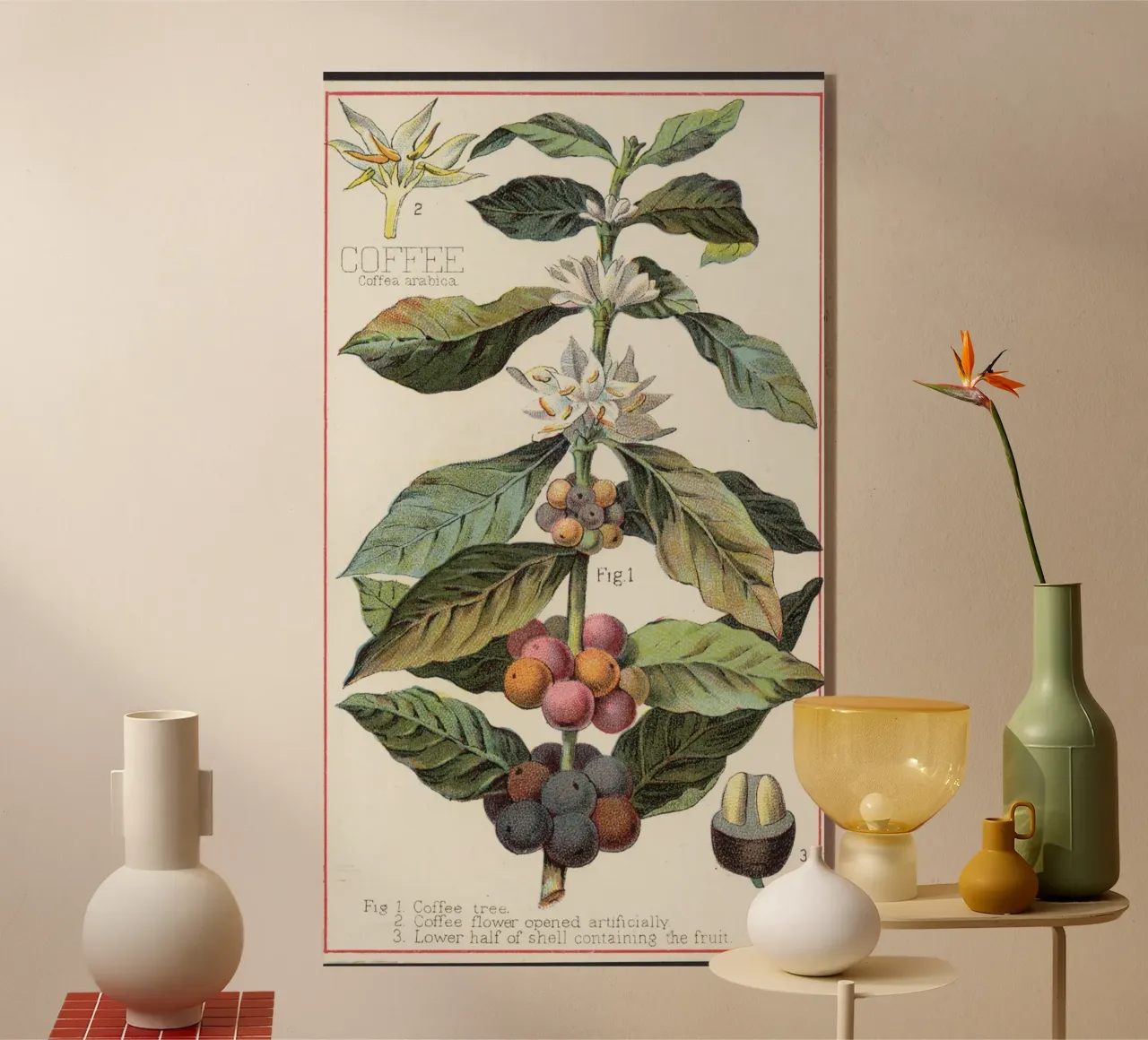 coffee illustration plexiglass da vintageshop