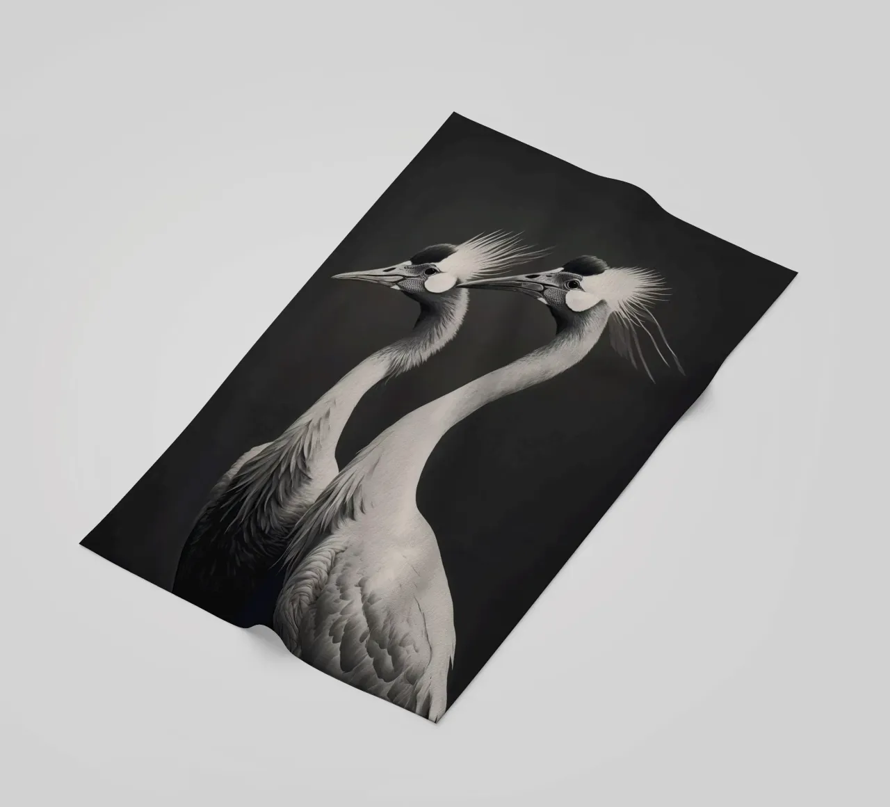 Gray Herons telo mare da treechild