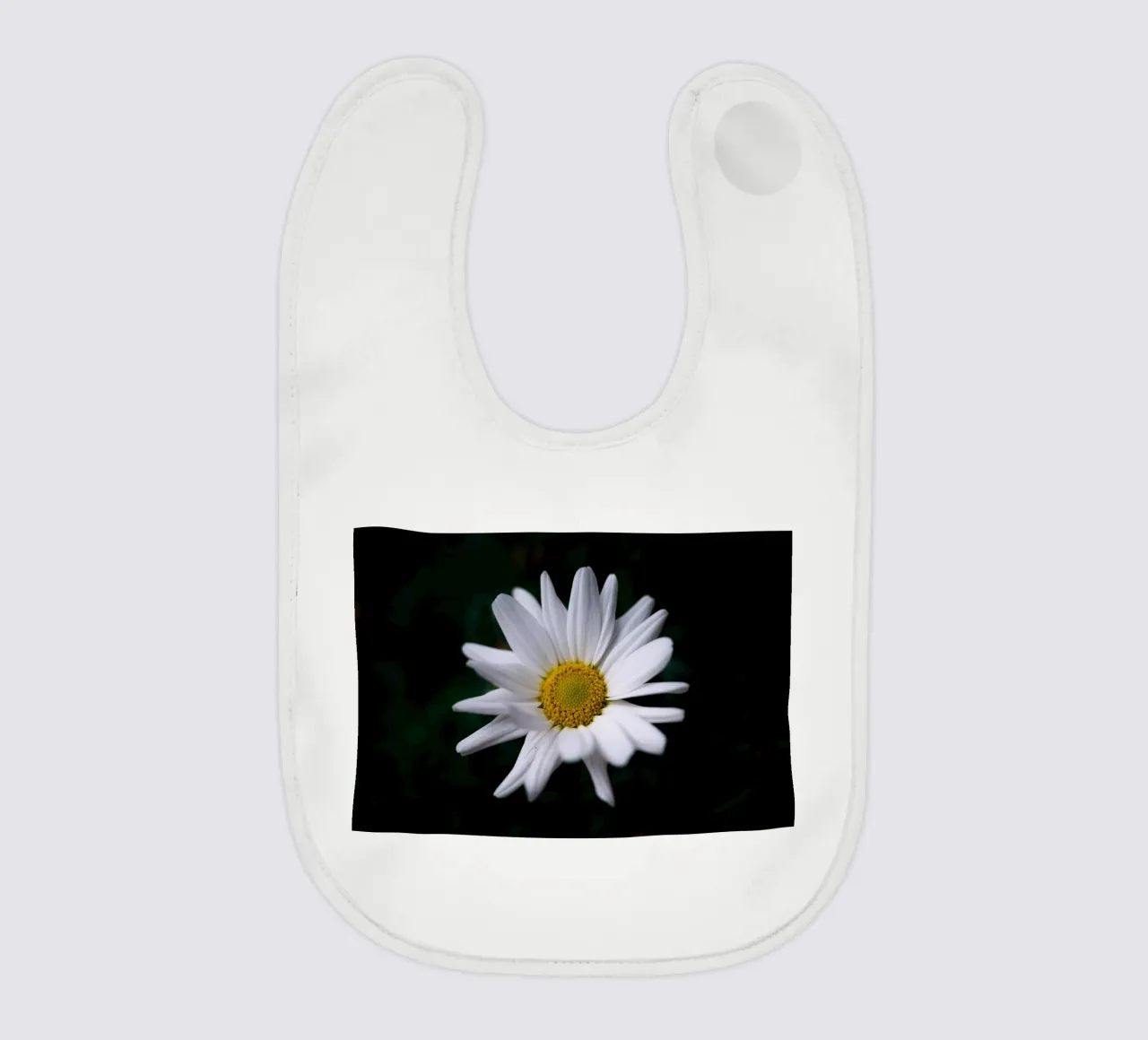 Margherite bavaglino da Marcus Beckert | Fotografie