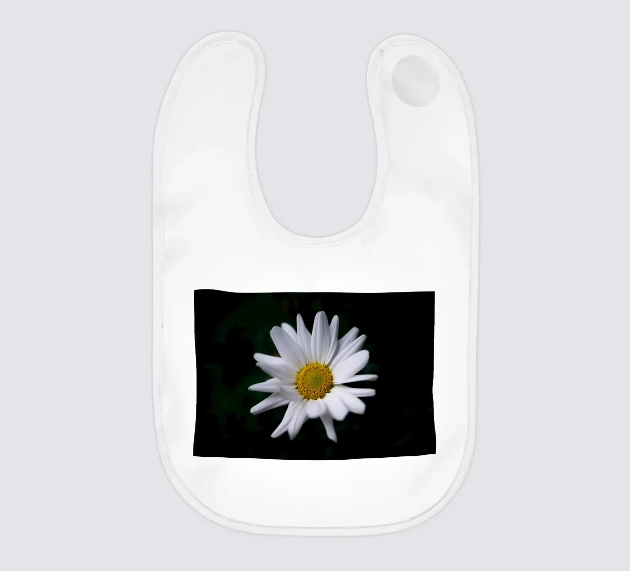 Margherite bavaglino da Marcus Beckert | Fotografie