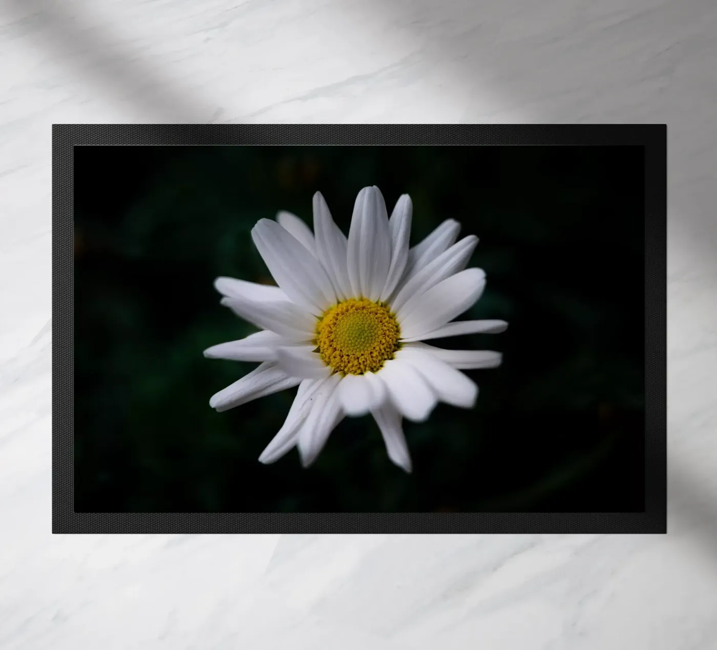 Gänseblümchen Fußmatte von Marcus Beckert | Fotografie