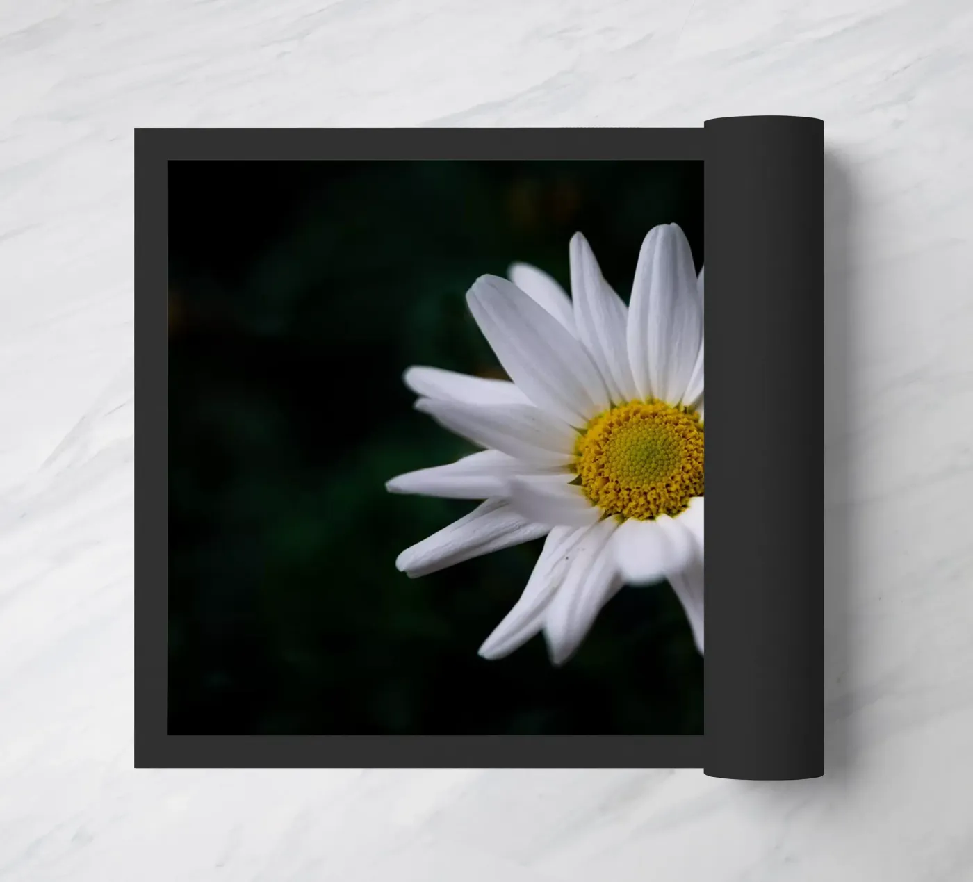 Gänseblümchen Fußmatte von Marcus Beckert | Fotografie