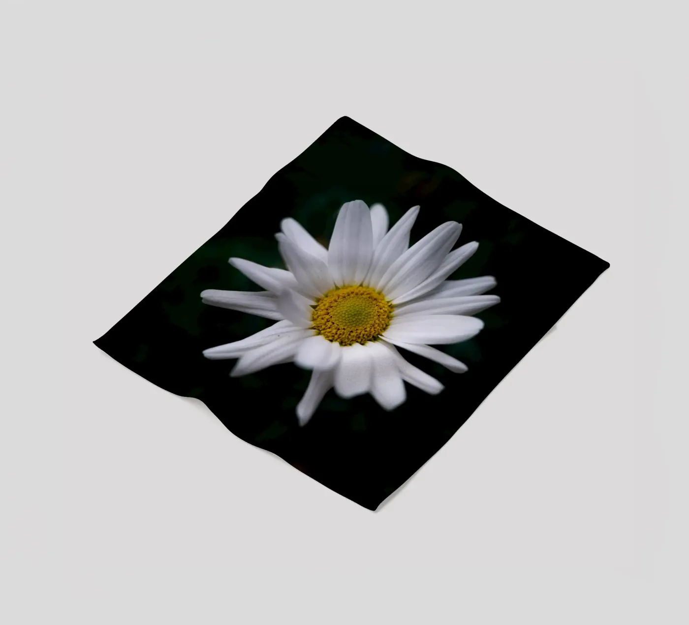 Daisies fleecedeken van Marcus Beckert | Fotografie