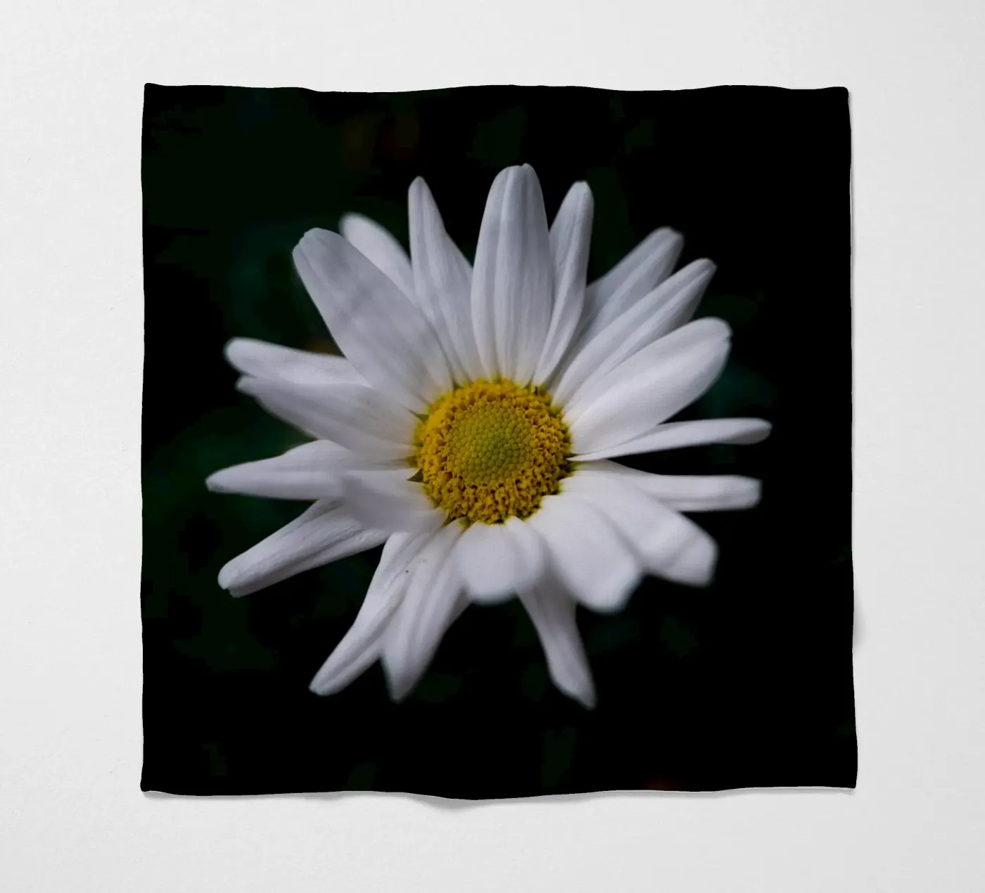 Daisies fleecedeken van Marcus Beckert | Fotografie