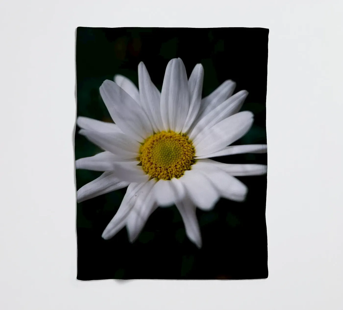 Daisies fleecedeken van Marcus Beckert | Fotografie