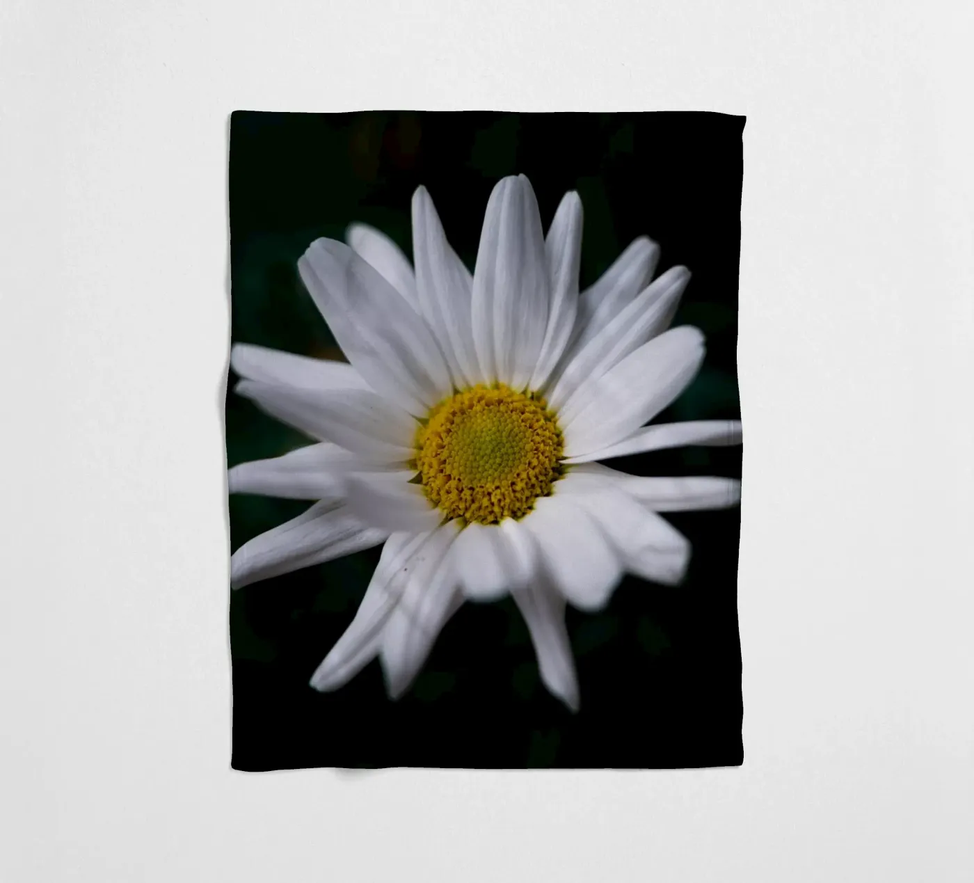 Daisies fleecedeken van Marcus Beckert | Fotografie