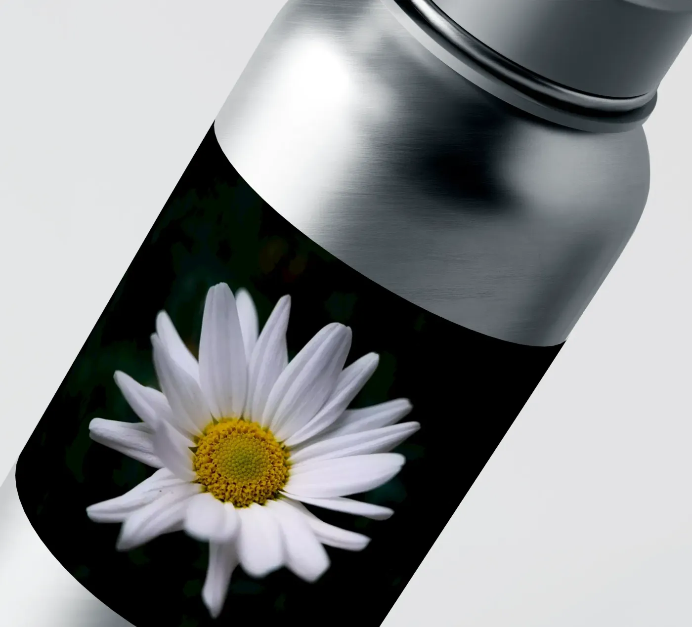 Daisies sticker by Marcus Beckert | Fotografie