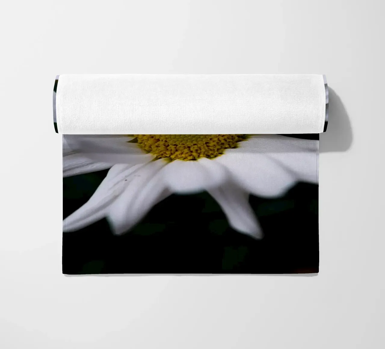 Margherite telo mare da Marcus Beckert | Fotografie