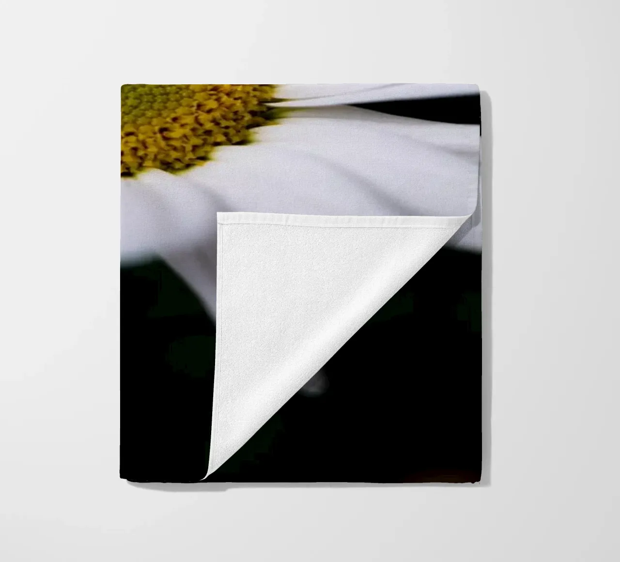 Margherite telo mare da Marcus Beckert | Fotografie