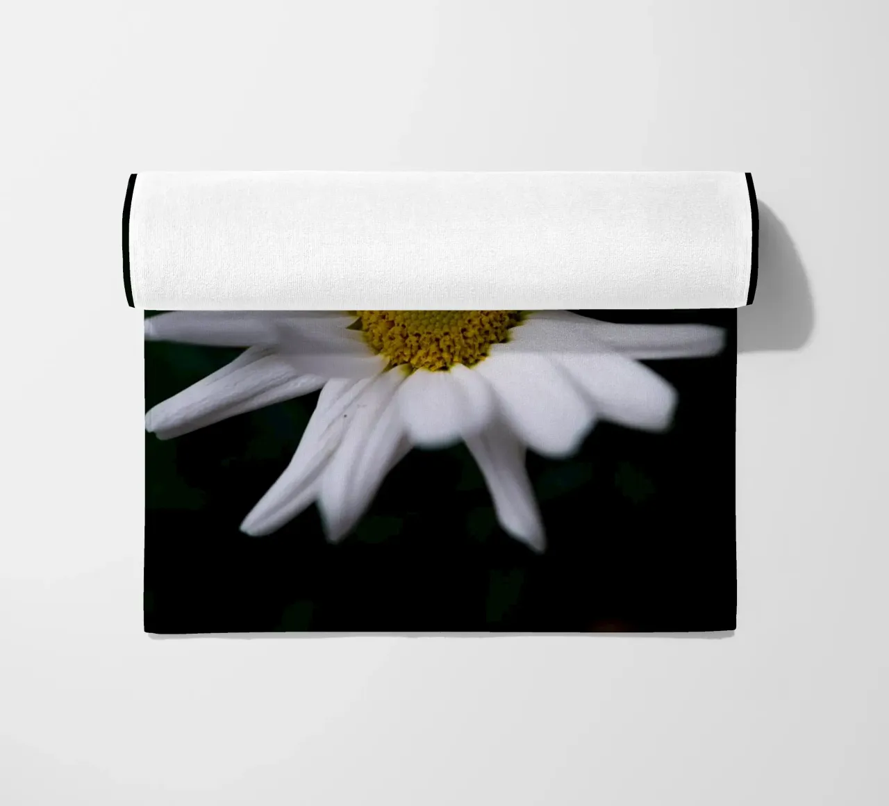 Margherite telo mare da Marcus Beckert | Fotografie