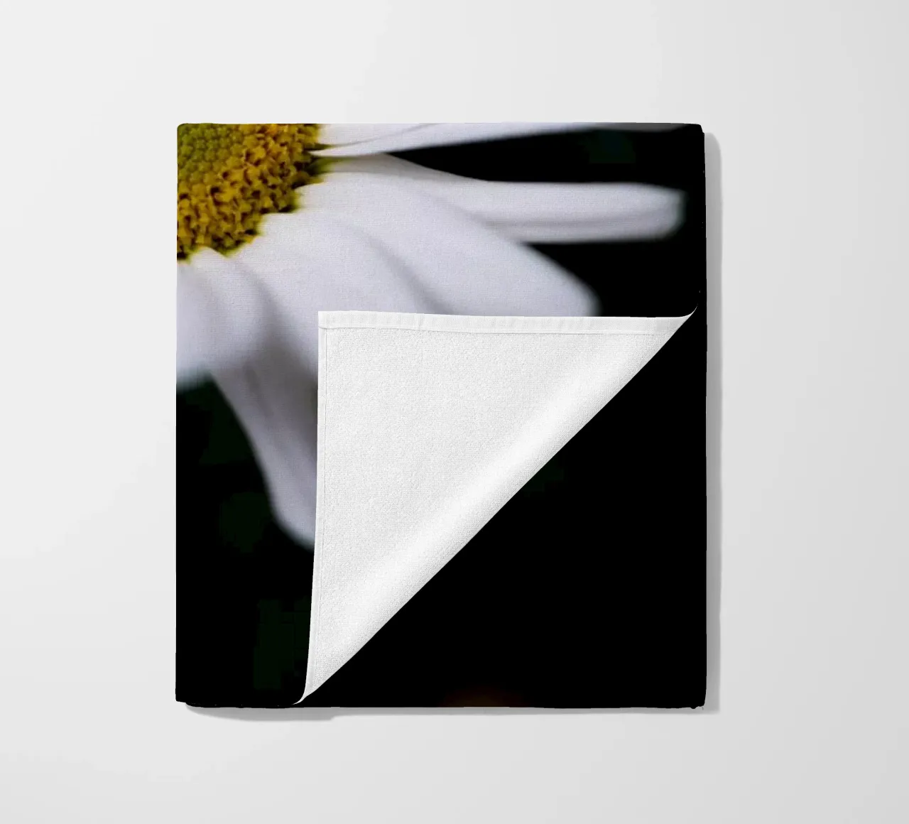 Margherite telo mare da Marcus Beckert | Fotografie