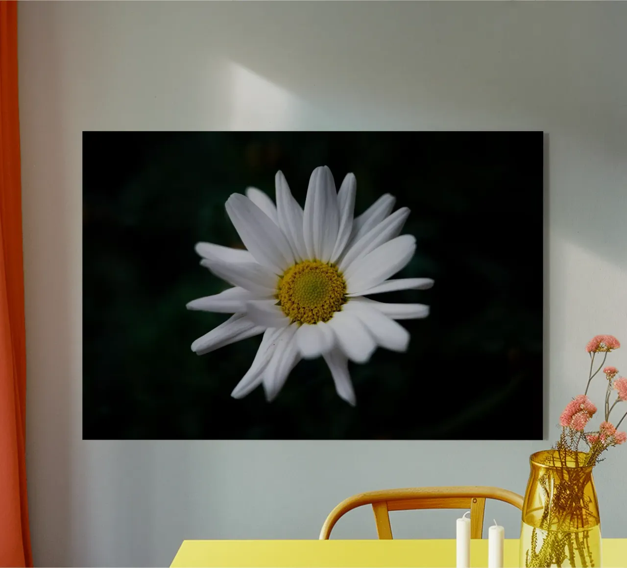 Margherite plexiglass da Marcus Beckert | Fotografie