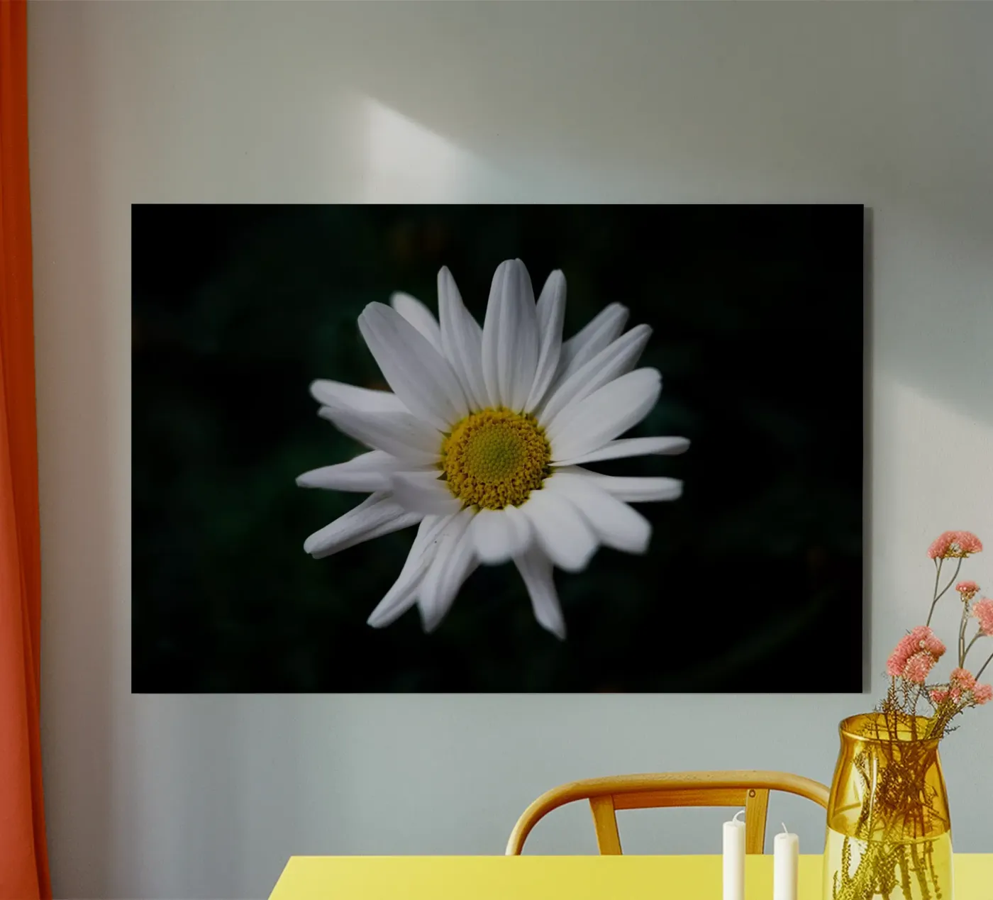 Margherite alluminio dibond da Marcus Beckert | Fotografie