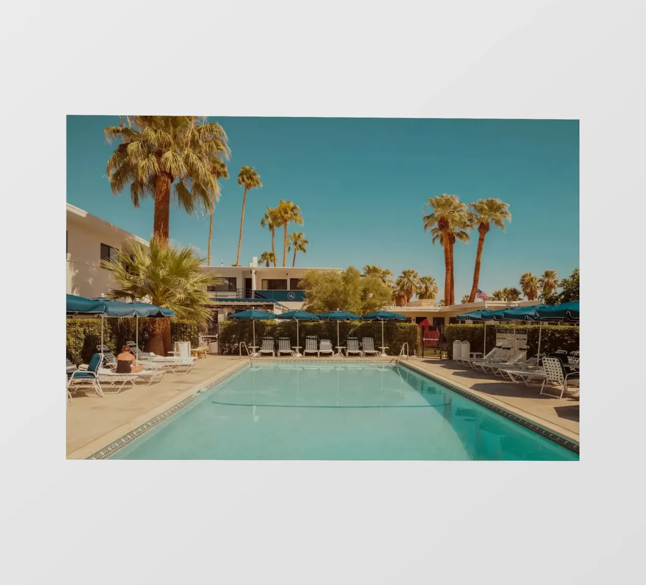 Palm Springs Desert Pool pellicola backlit da robertmotoiart