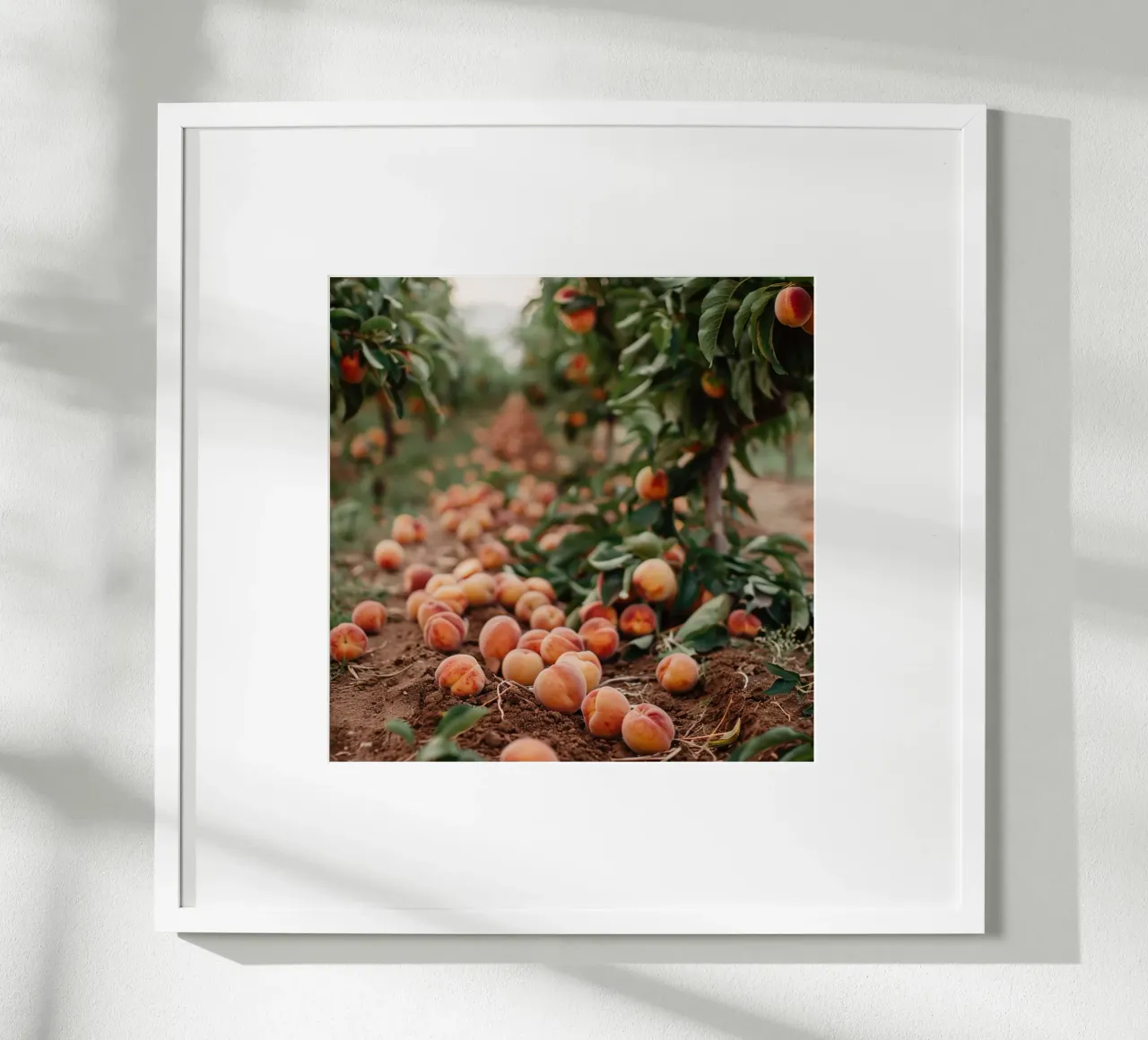 Frutti caduti poster con telaio in plastica da StillVibe Home