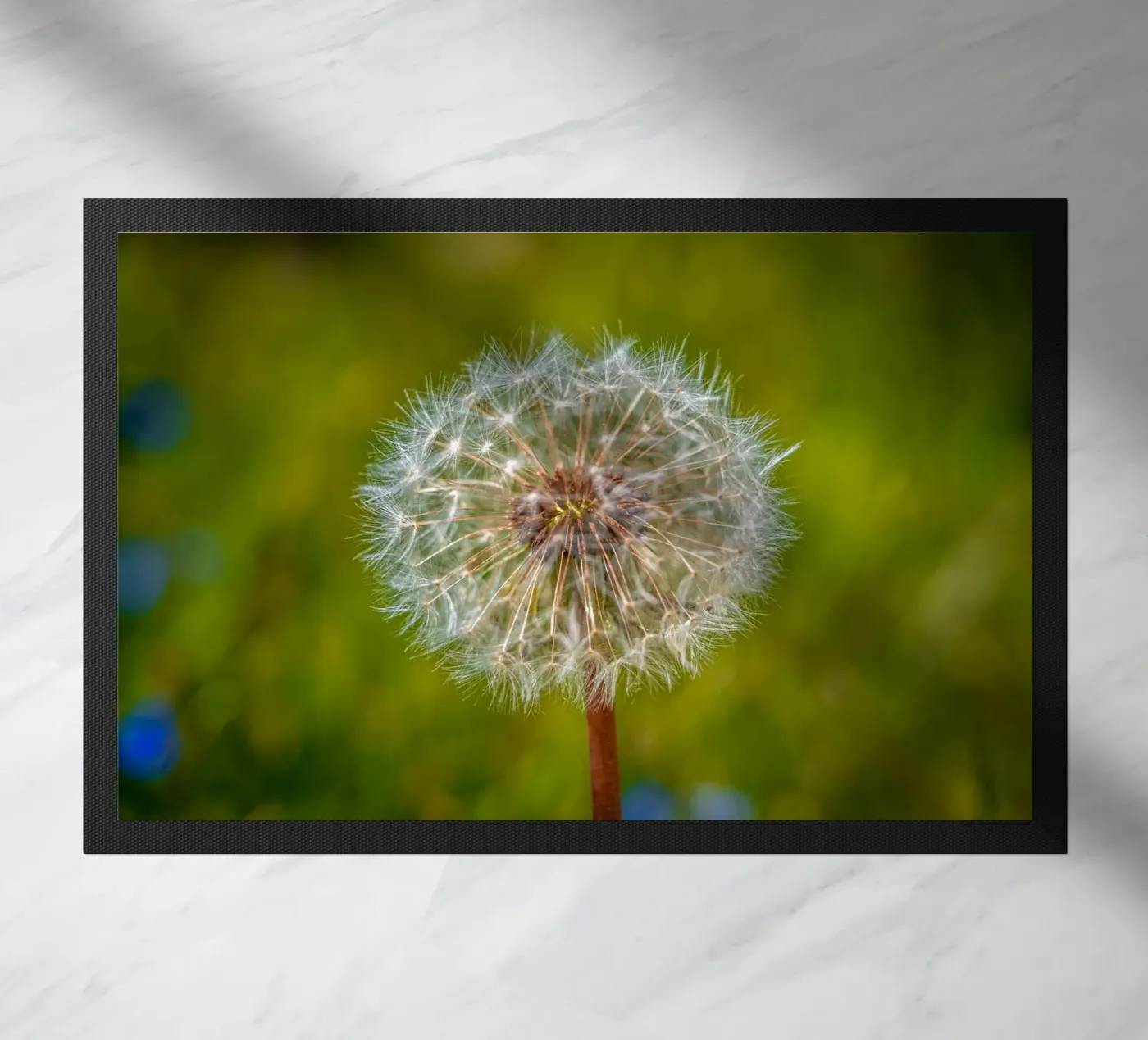 Pusteblume doormat by Marcus Beckert | Fotografie