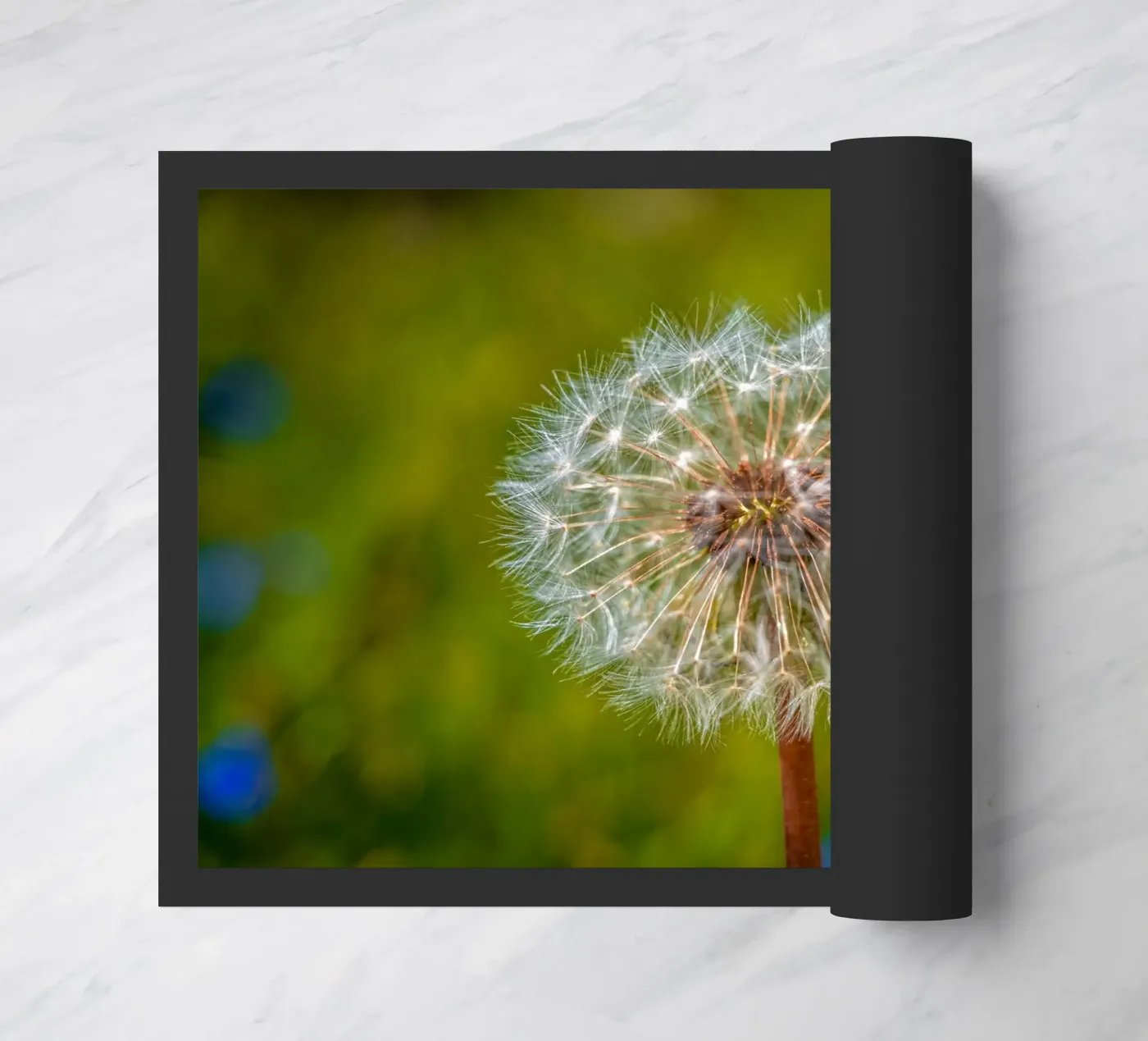Pusteblume doormat by Marcus Beckert | Fotografie