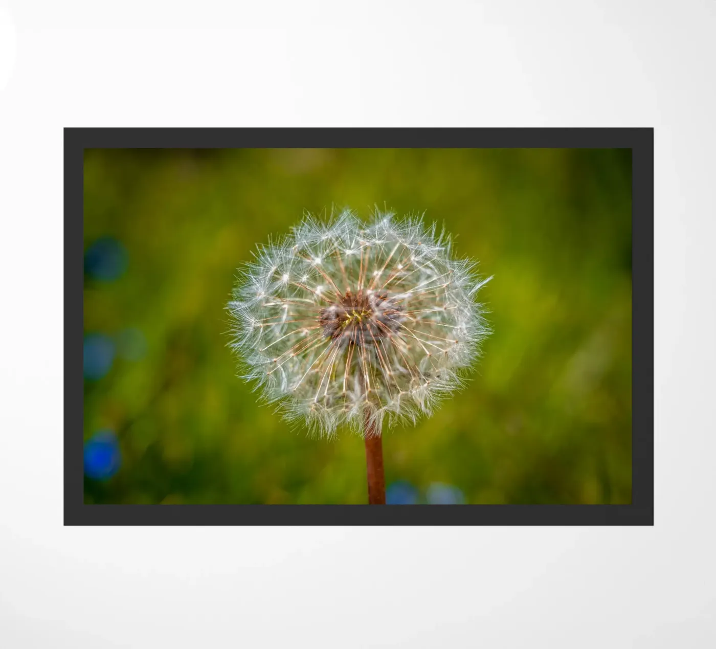 Pusteblume doormat by Marcus Beckert | Fotografie