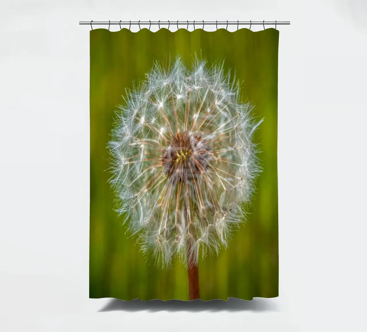Pusteblume shower curtain by Marcus Beckert | Fotografie