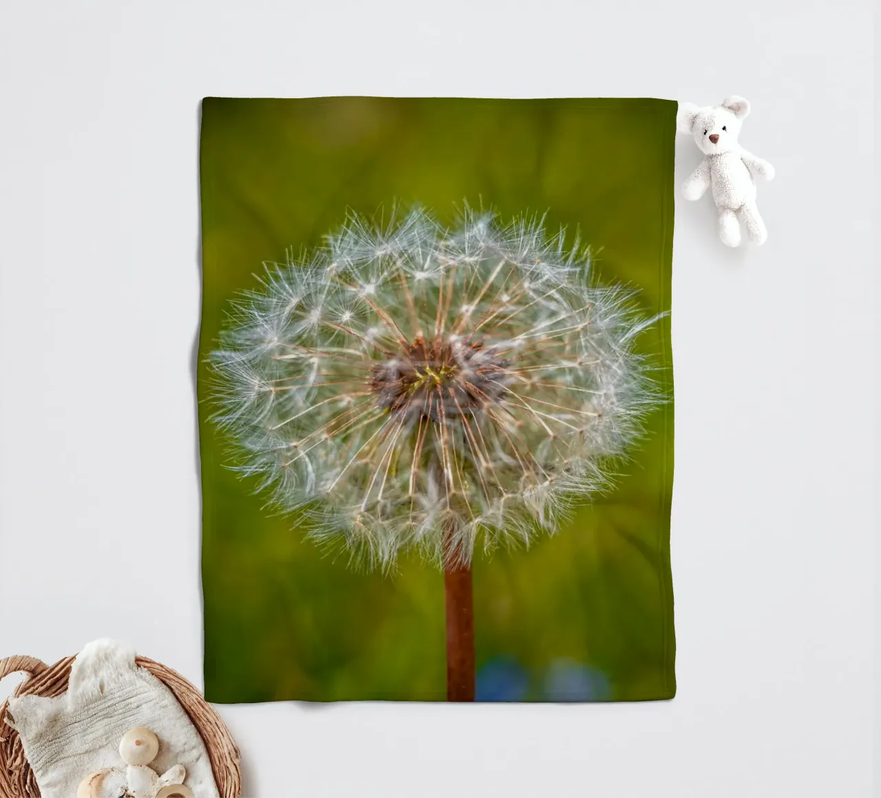 Pusteblume coperta in pile da Marcus Beckert | Fotografie