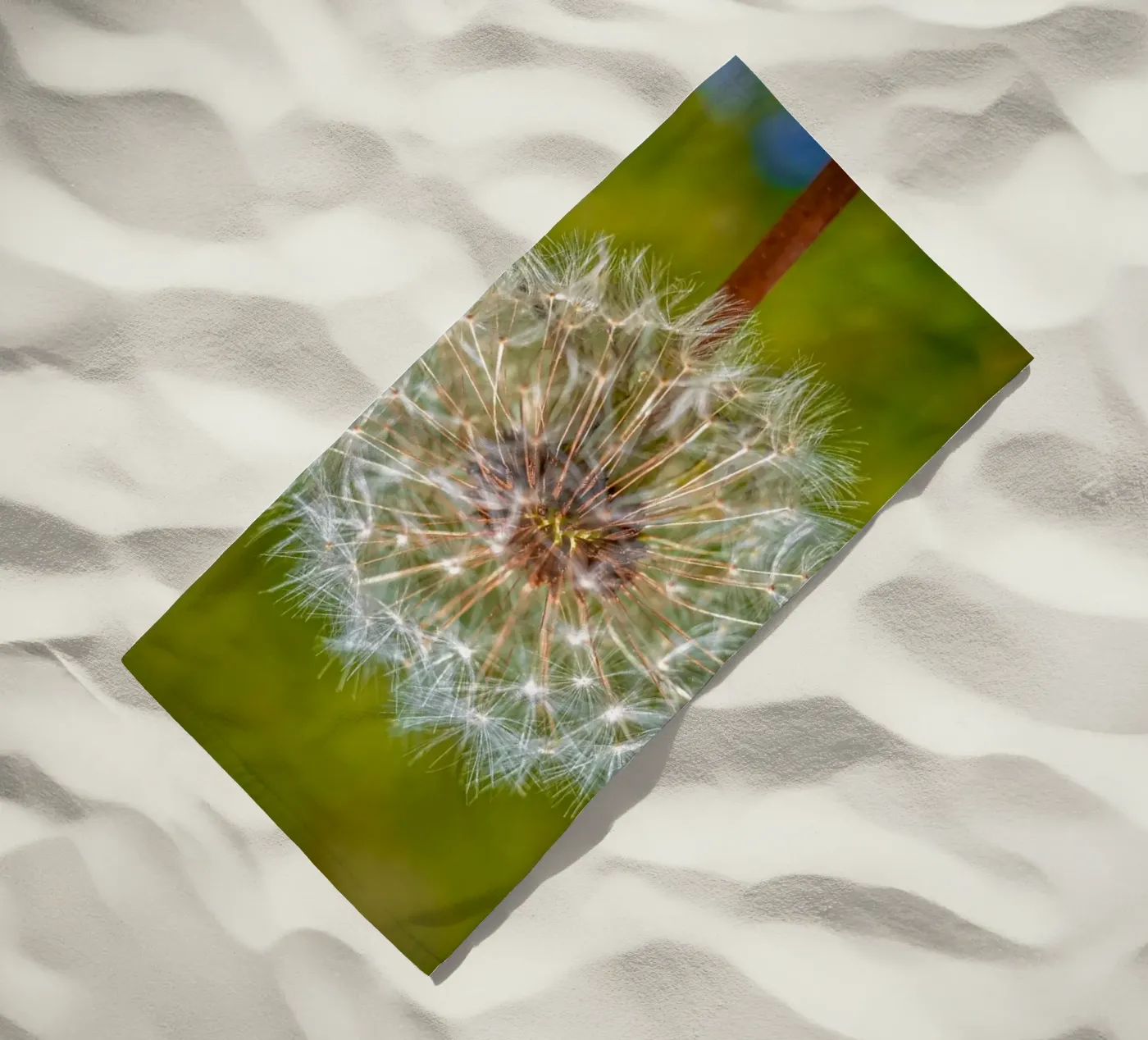 Pusteblume telo mare da Marcus Beckert | Fotografie