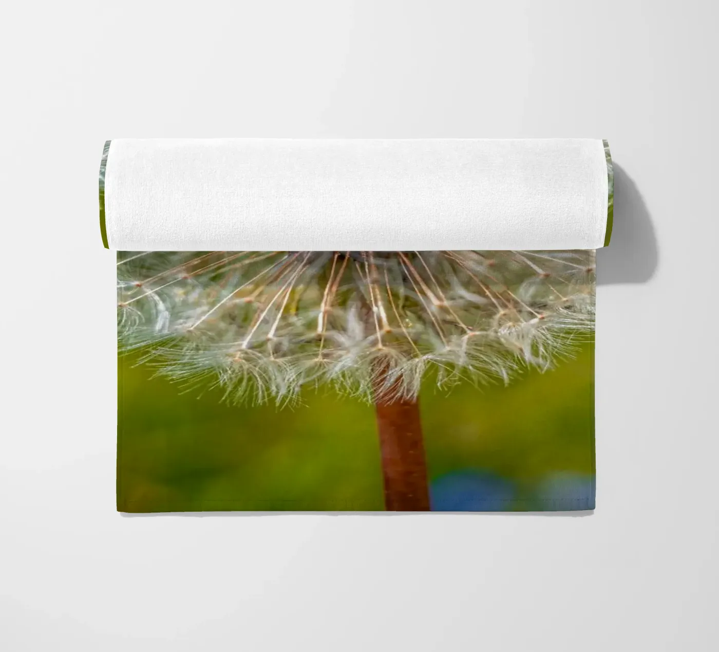 Pusteblume telo mare da Marcus Beckert | Fotografie