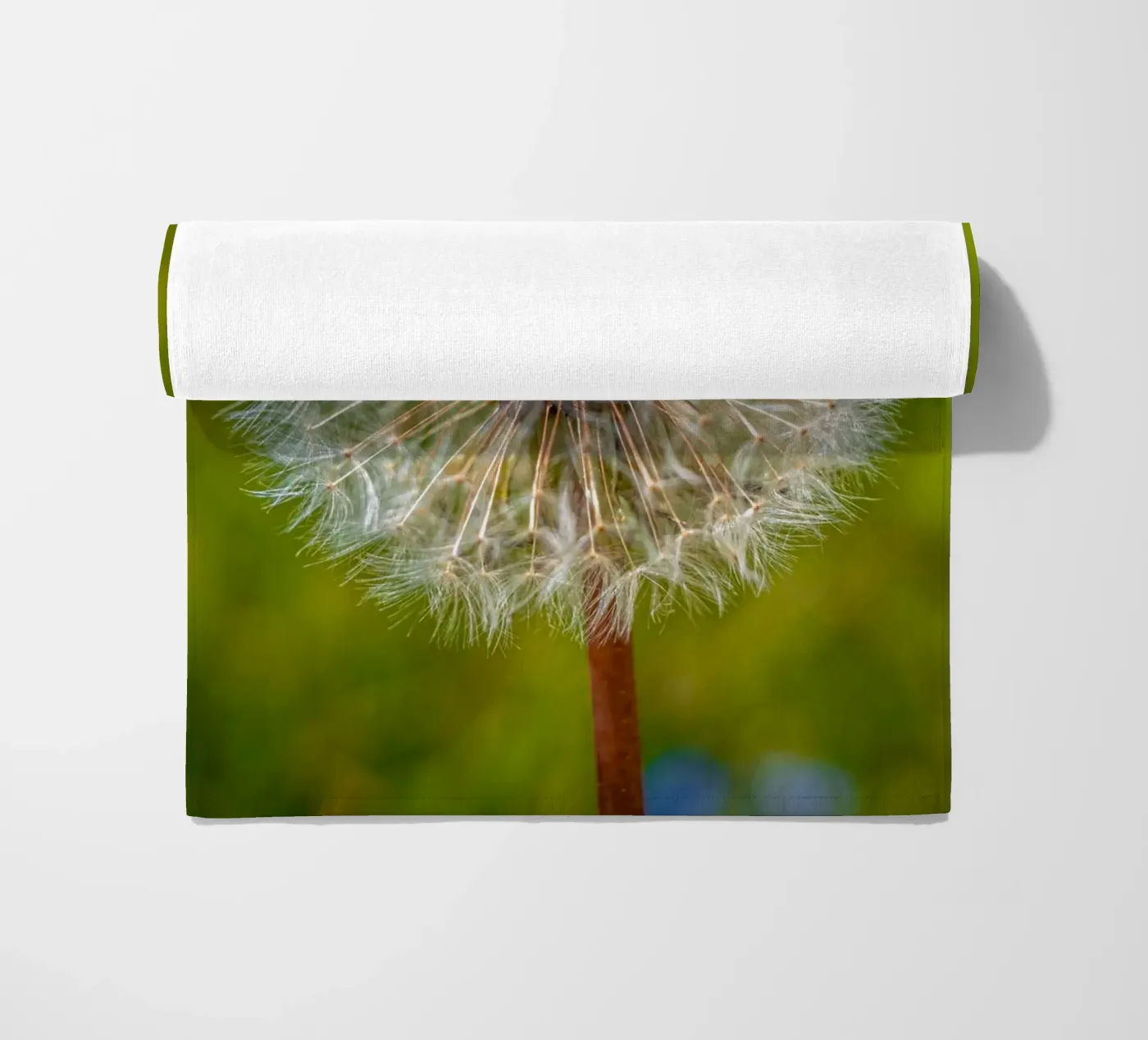 Pusteblume telo mare da Marcus Beckert | Fotografie