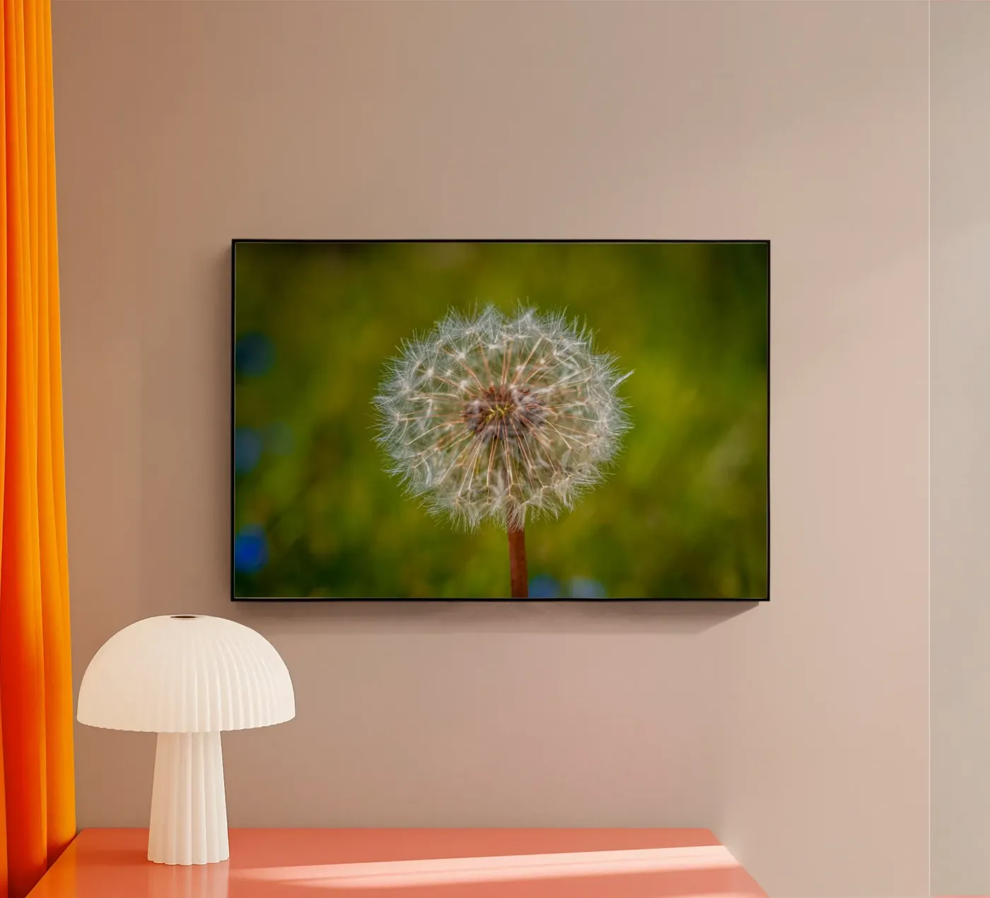 Pusteblume plexiglas de Marcus Beckert | Fotografie
