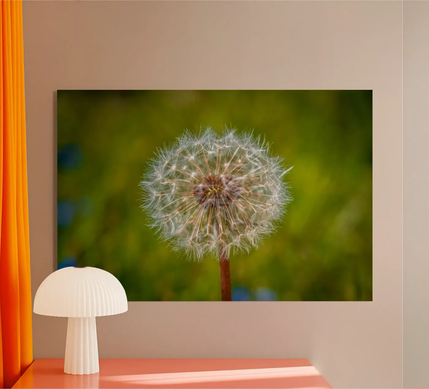 Pusteblume plexiglas de Marcus Beckert | Fotografie