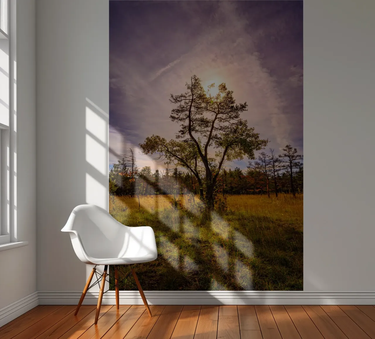 Sun behind a deciduous tree photo wallpaper by Marcus Beckert | Fotografie