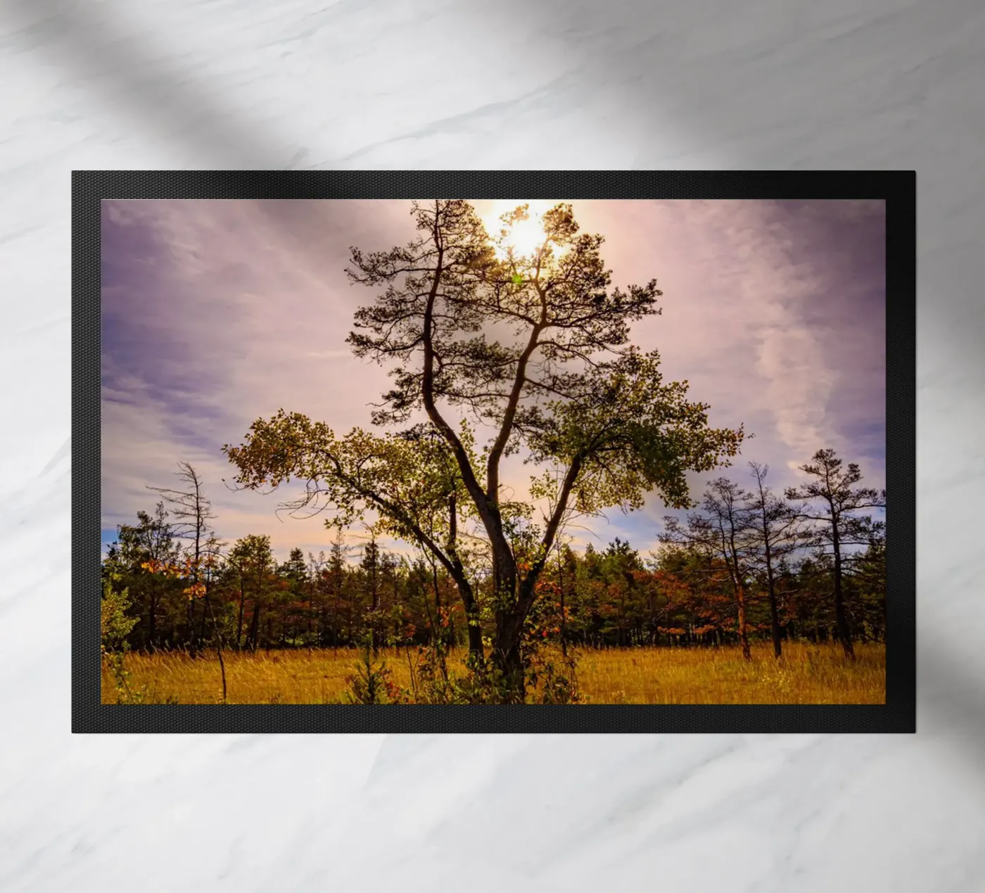 Sun behind a deciduous tree Fußmatte von Marcus Beckert | Fotografie