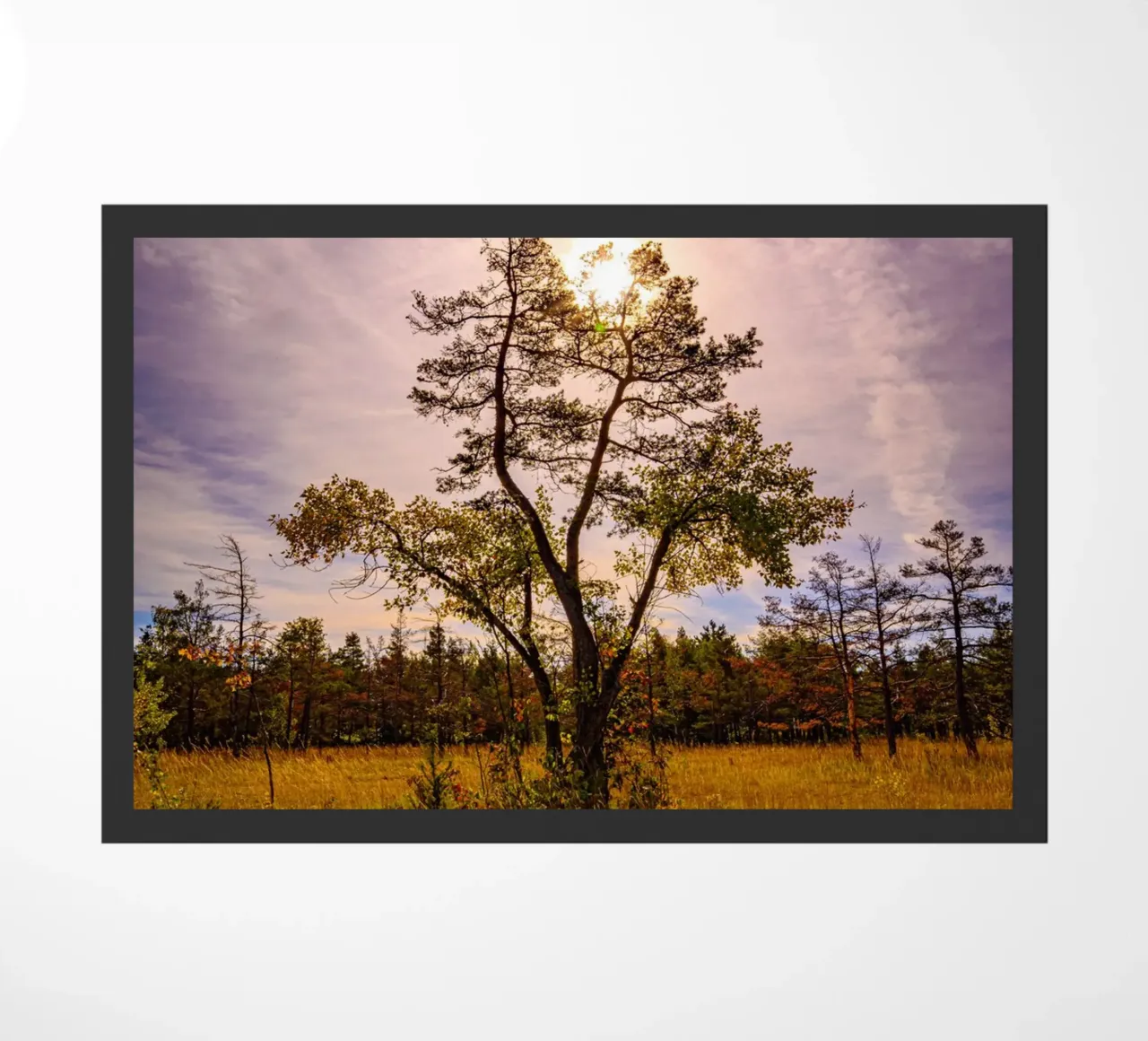 Sun behind a deciduous tree doormat by Marcus Beckert | Fotografie
