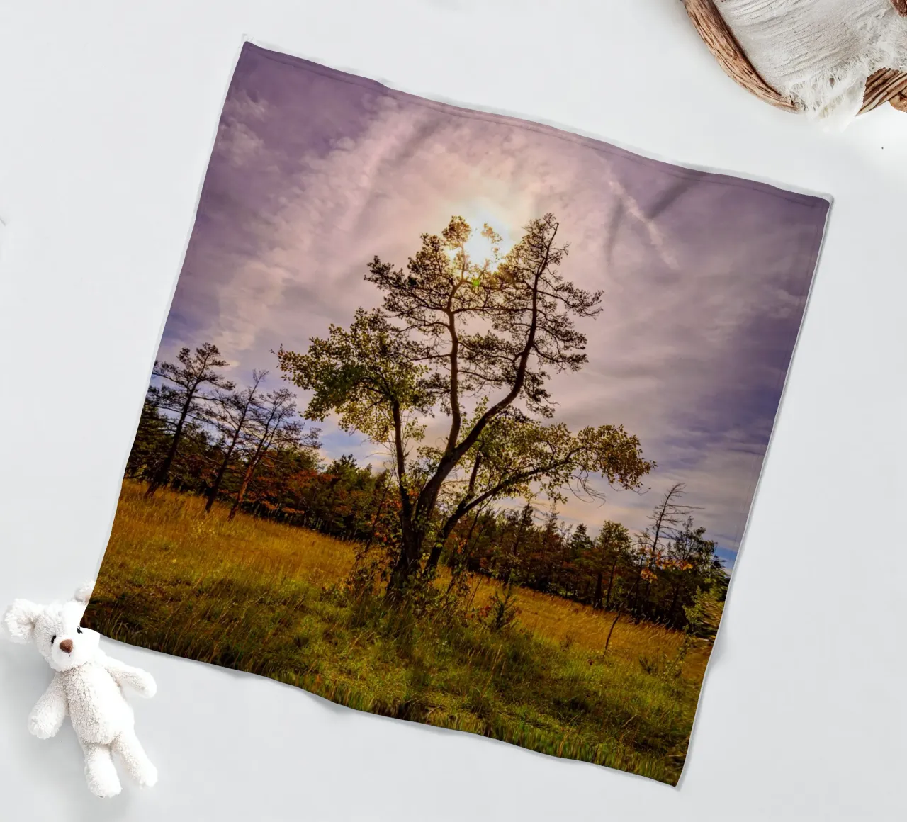 Il sole dietro un albero deciduo coperta in pile da Marcus Beckert | Fotografie