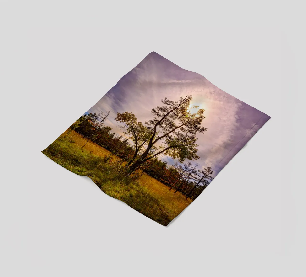 Il sole dietro un albero deciduo coperta in pile da Marcus Beckert | Fotografie