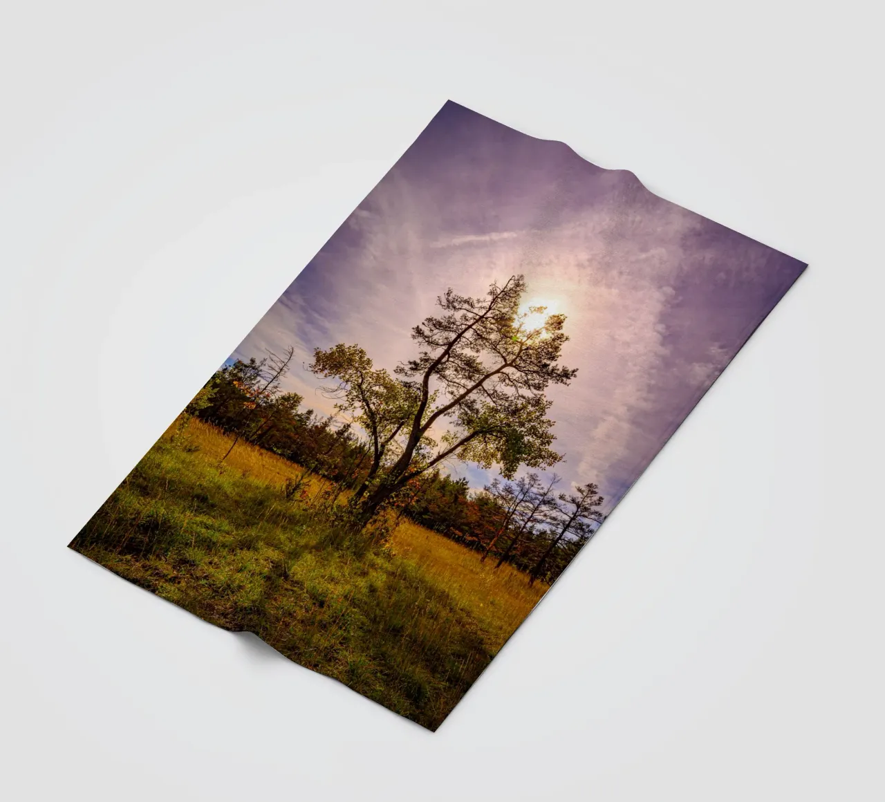 Il sole dietro un albero deciduo coperta in pile da Marcus Beckert | Fotografie