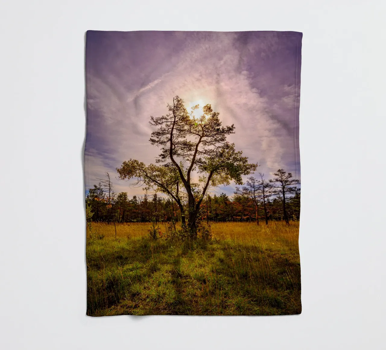 Il sole dietro un albero deciduo coperta in pile da Marcus Beckert | Fotografie