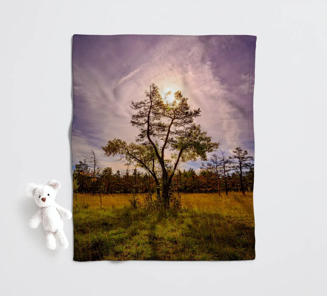Il sole dietro un albero deciduo coperta in pile da Marcus Beckert | Fotografie