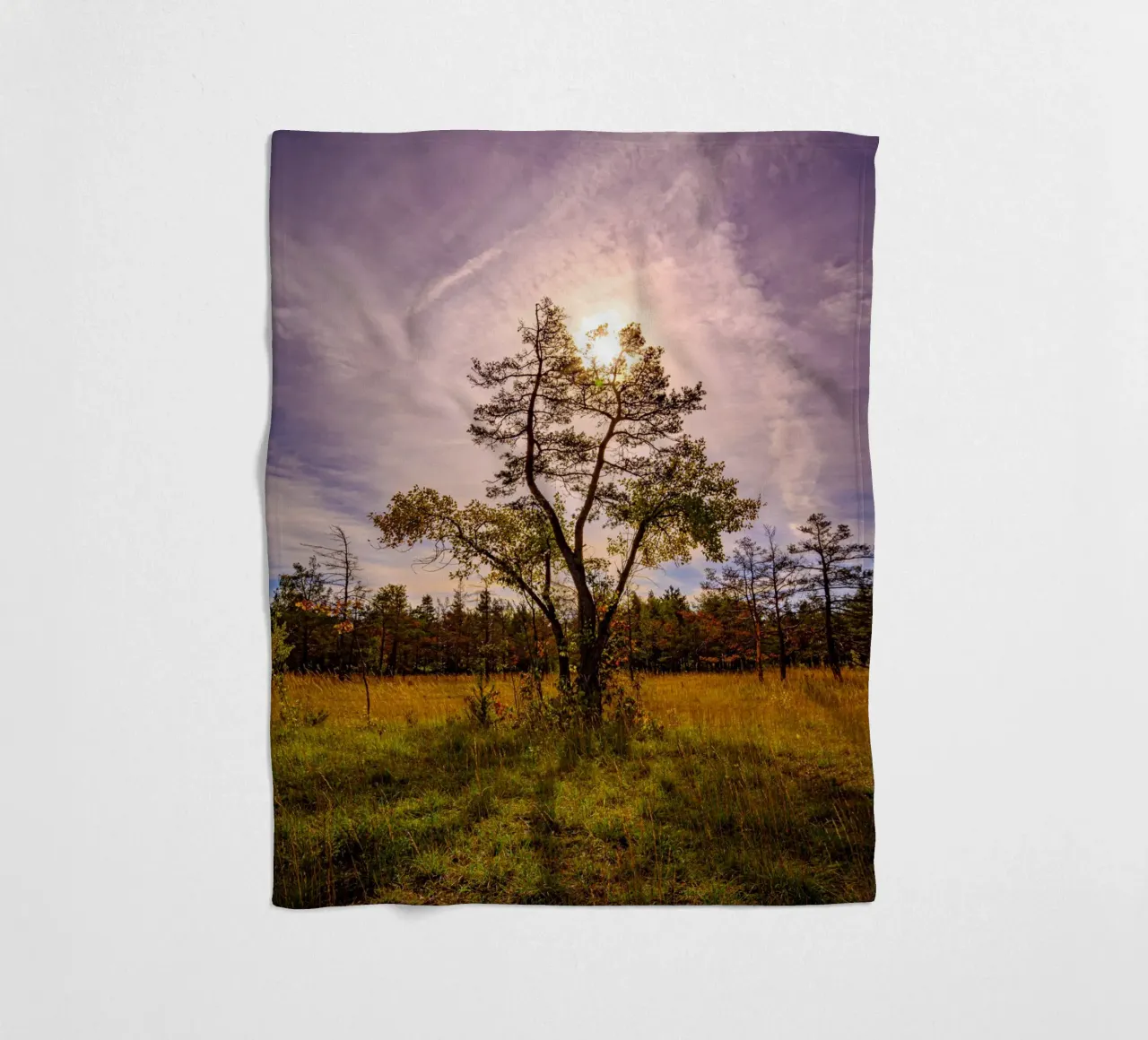 Il sole dietro un albero deciduo coperta in pile da Marcus Beckert | Fotografie