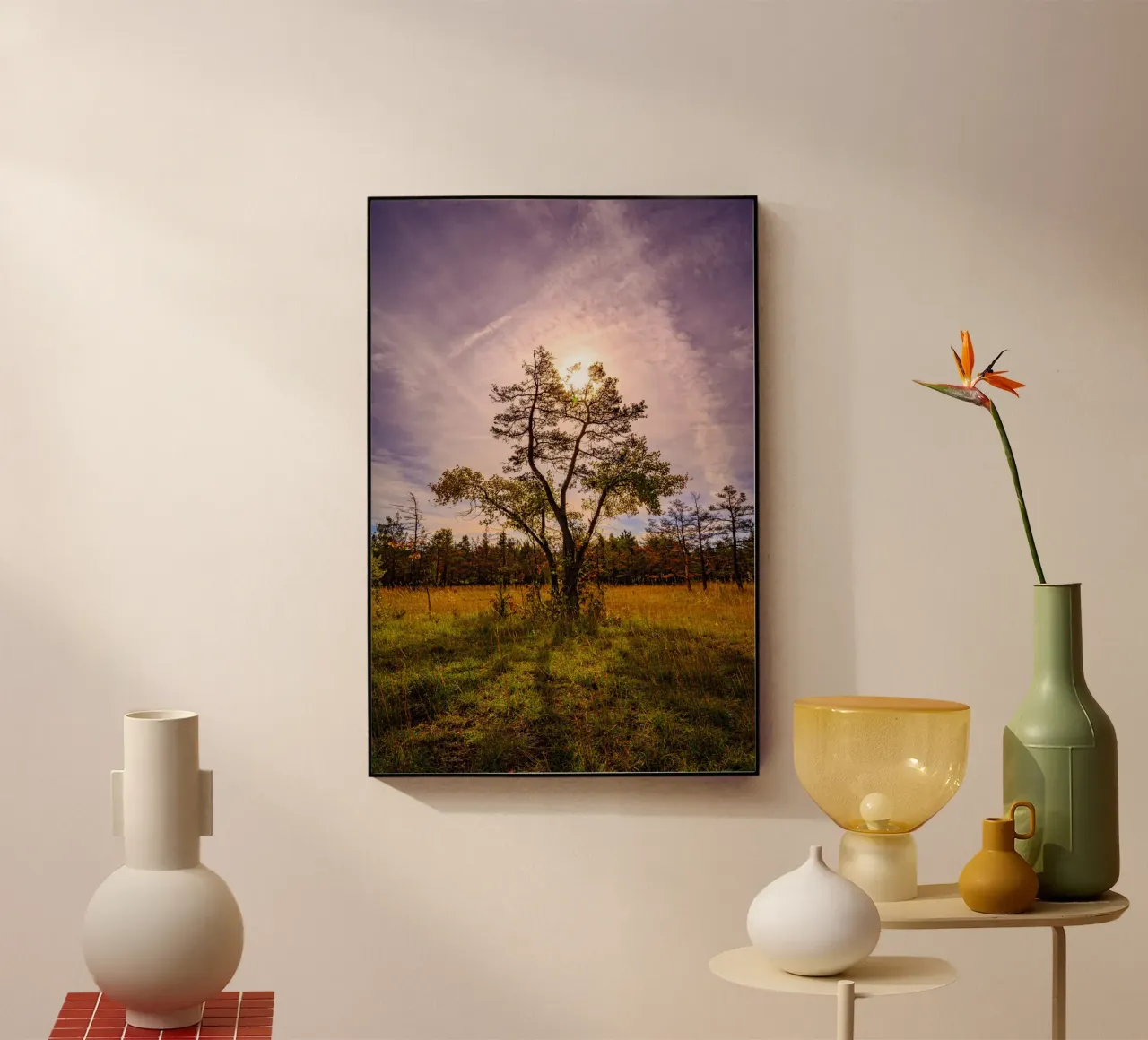 Sol detrás de un árbol caducifolio metacrilato de Marcus Beckert | Fotografie