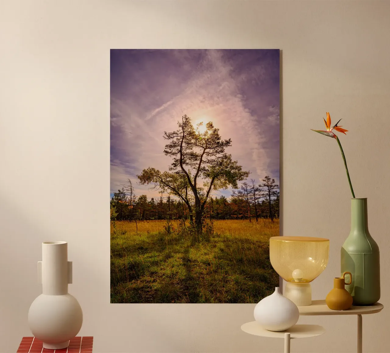 Sol detrás de un árbol caducifolio metacrilato de Marcus Beckert | Fotografie