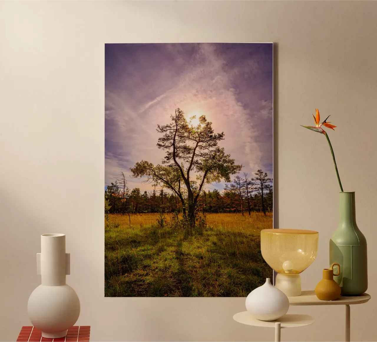 Sun behind a deciduous tree canvas by Marcus Beckert | Fotografie