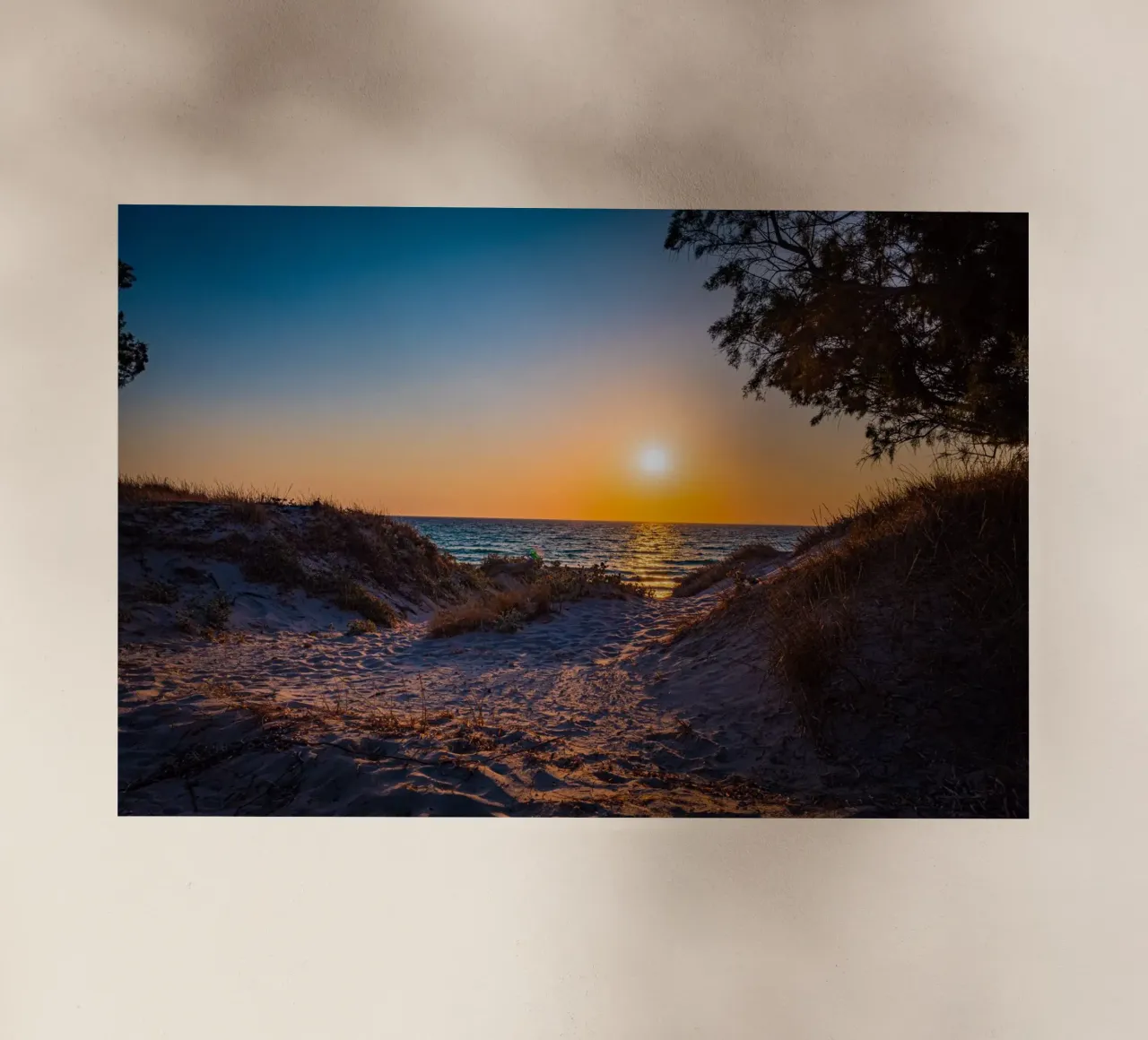 Sunset pellicola backlit da Marcus Beckert | Fotografie