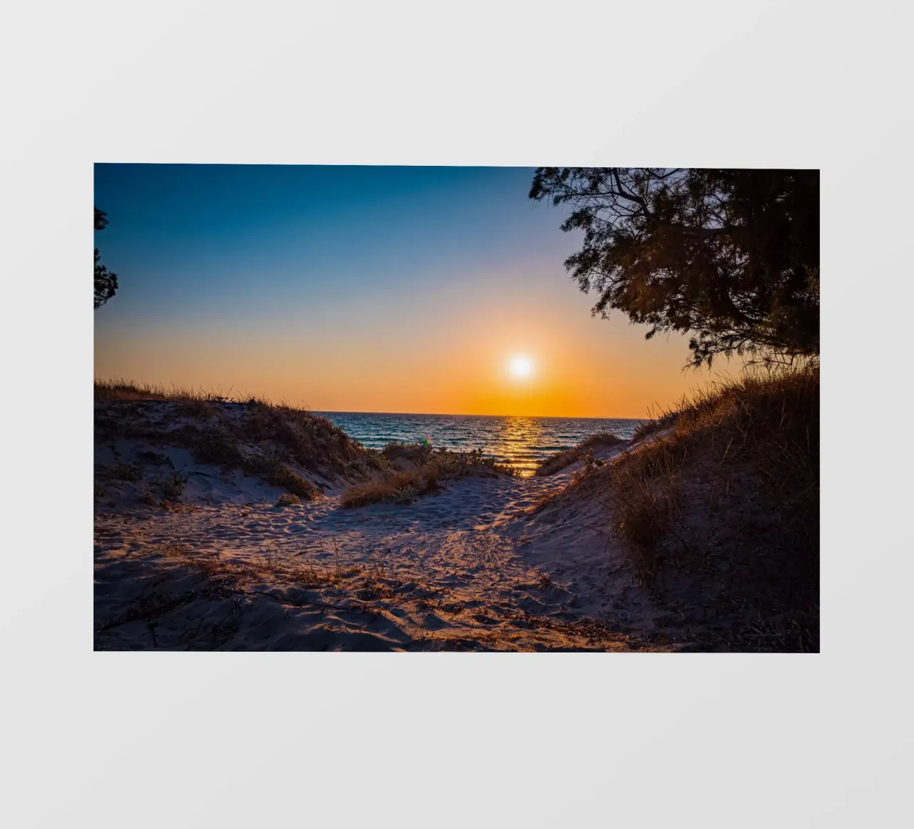 Tramonto pellicola backlit da Marcus Beckert | Fotografie