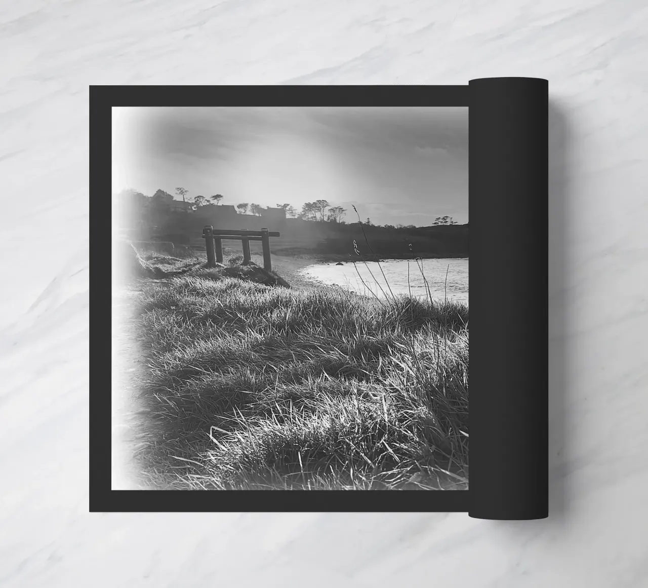 BW80 zerbino da Thierry vobmann photography