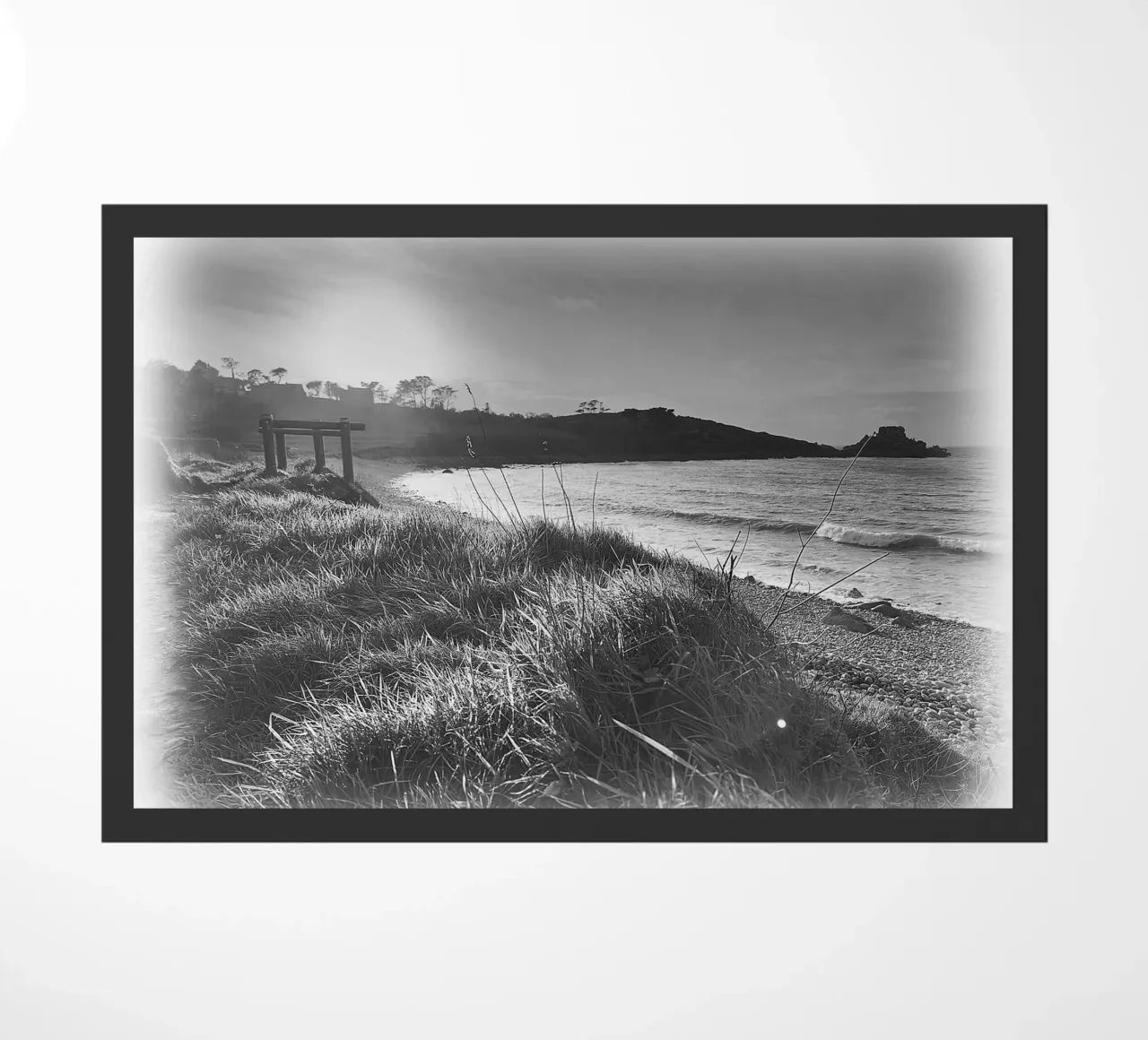 BW80 zerbino da Thierry vobmann photography