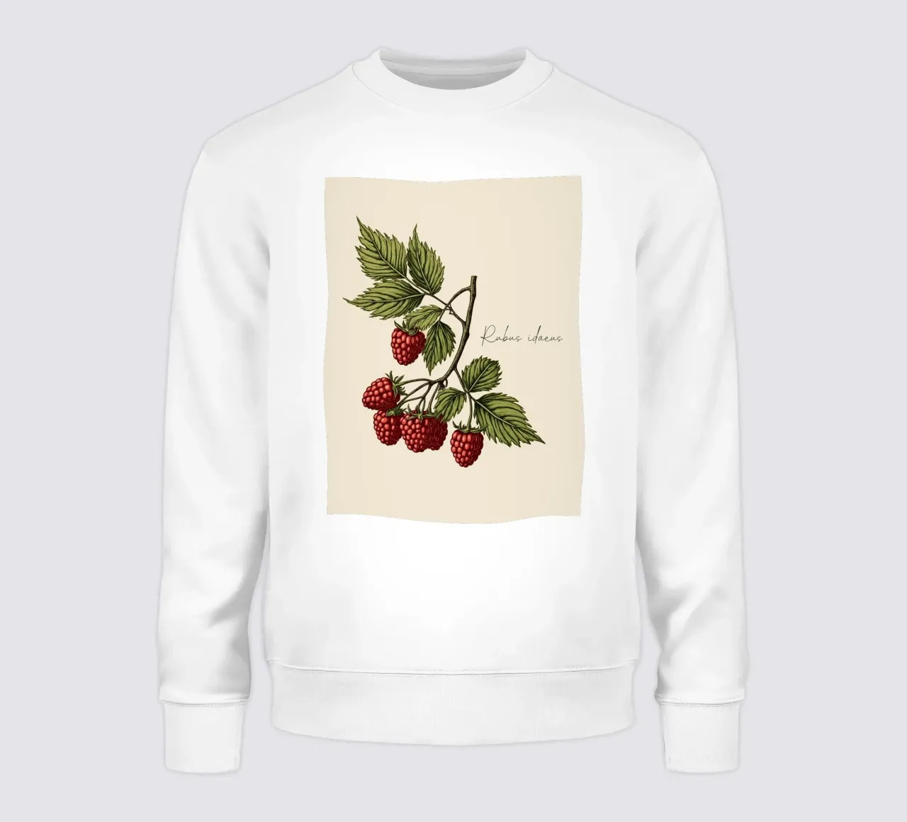 Rubus idaeus felpa da Indigo Rain